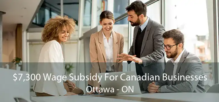 $7,300 Wage Subsidy For Canadian Businesses Ottawa - ON