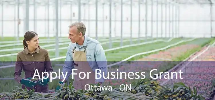Apply For Business Grant Ottawa - ON